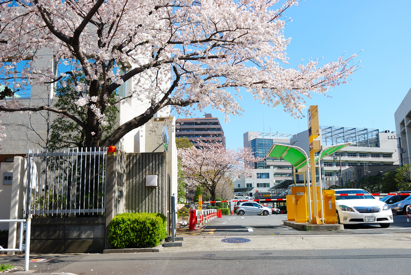 同愛記念病院　外観１