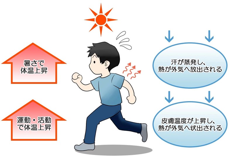 5〜6月でも要注意！高齢者の熱中症はなぜ起こる？原因と症状を詳しく解説 メディカルノート