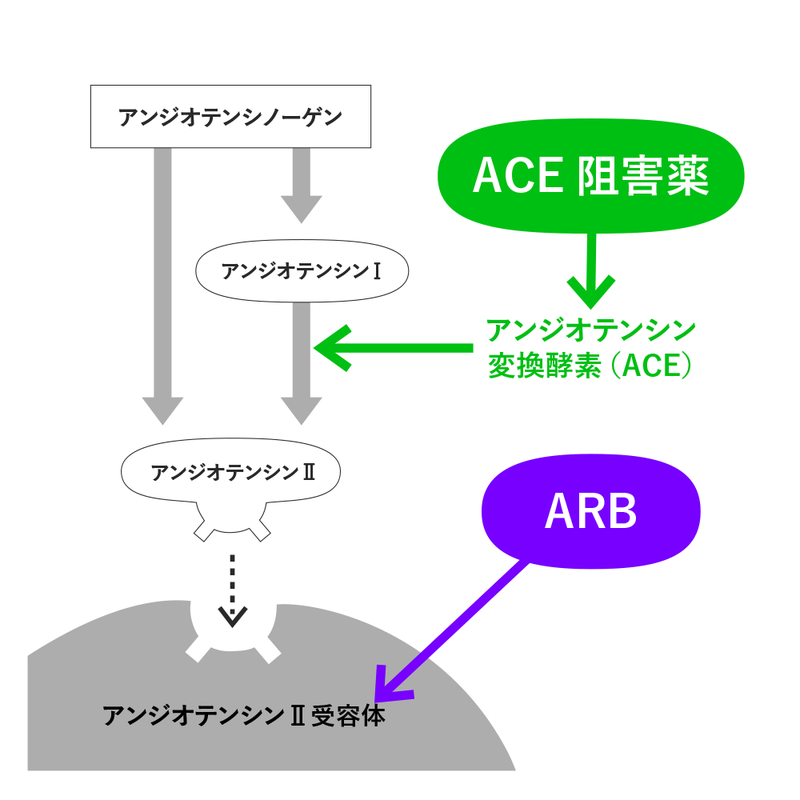 ACE阻害薬とARB