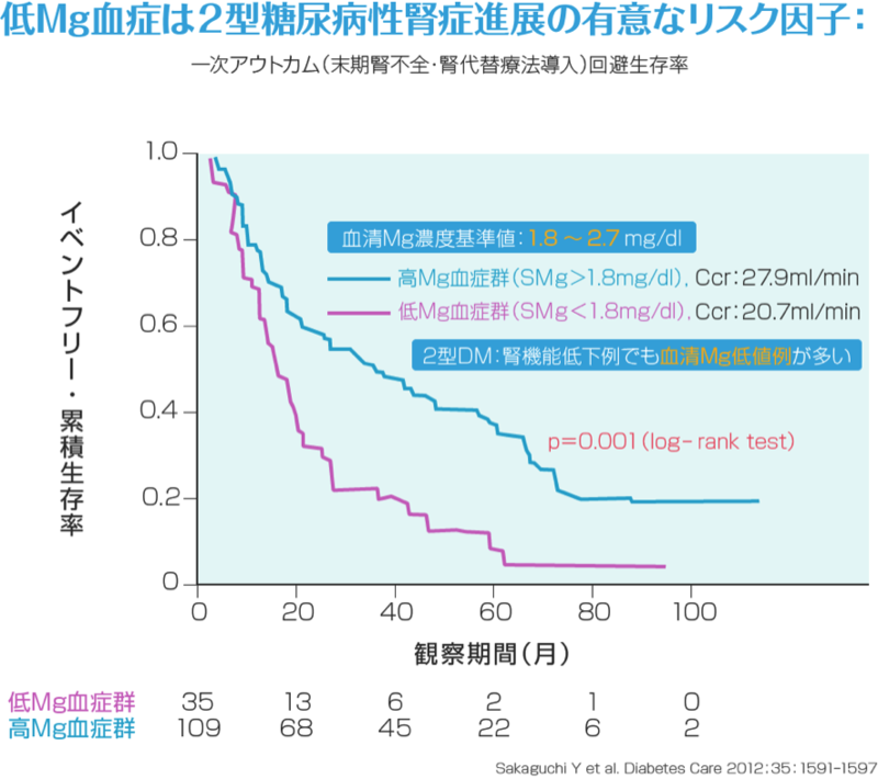 2型糖尿病性腎症とマグネシウムとの関係
