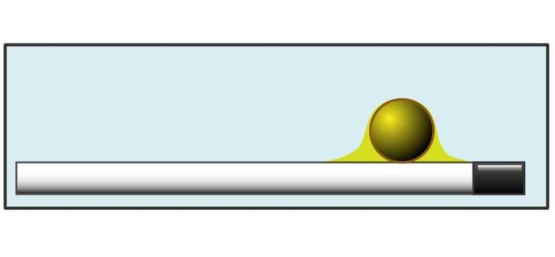 卵子の凍結保存の手順