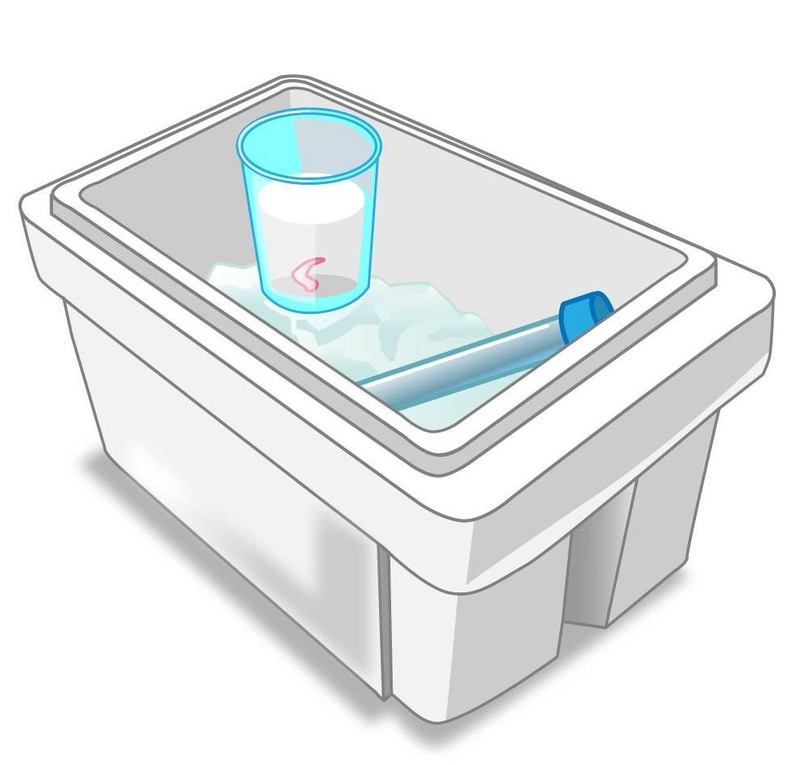 卵巣組織の平衡化