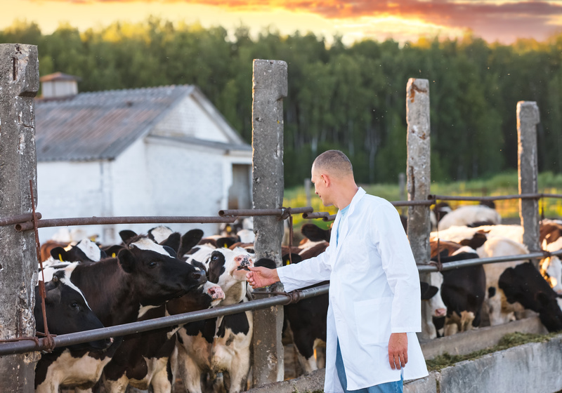 農村地帯を歩く医師