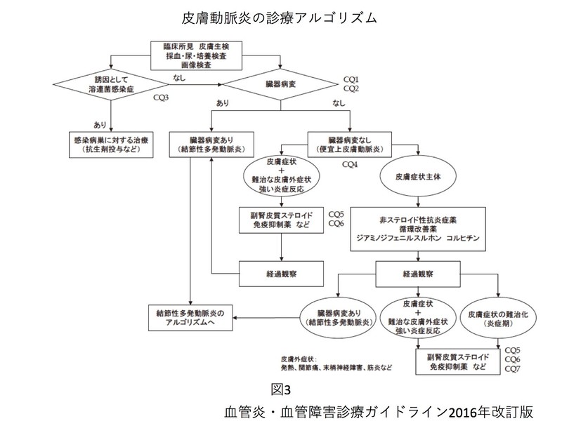 皮膚動脈炎診療アルゴリズム.jpg