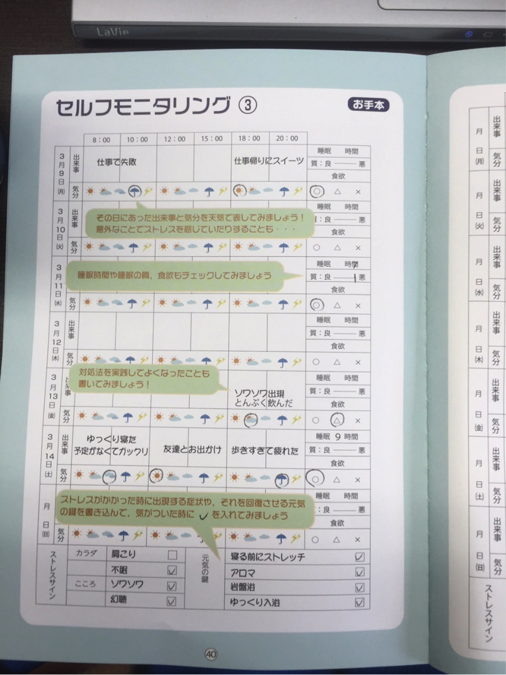 統合失調症のセルフモニタリングの記入例