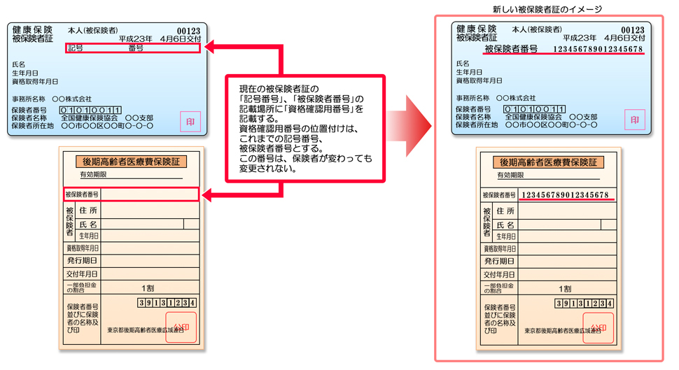 新しい被保険者証のイメージ