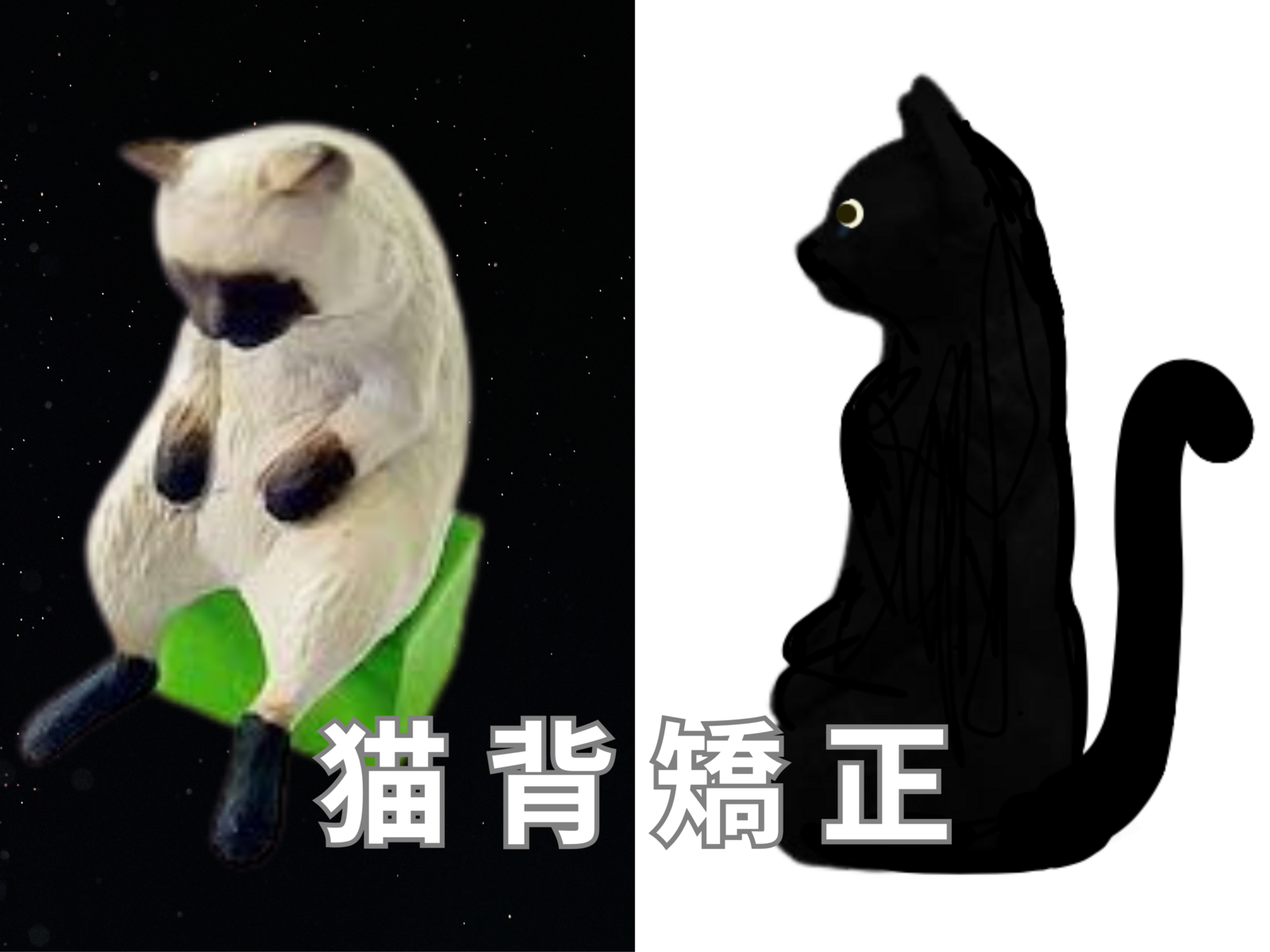 会員《ゆがみ矯正プラン》猫背矯正（矯正＋整体）