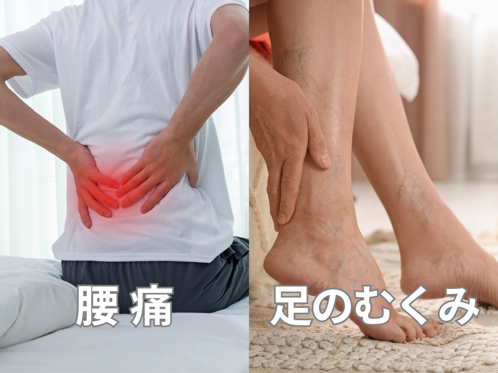 会員《下半身集中プラン》腰痛・足のむくみコース（鍼灸）