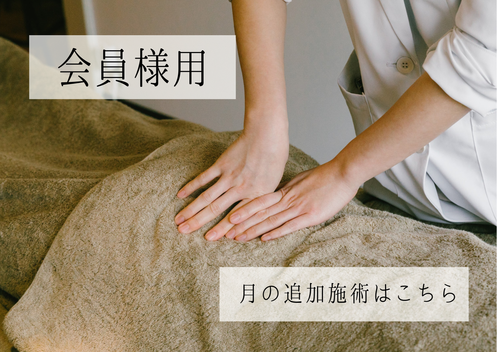 【会員様追加用】からだから整える美容鍼ライト