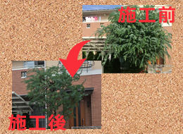 株式会社oh庭ya 東京本社の求人情報