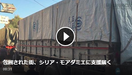 いつもご支援ありがとうございます