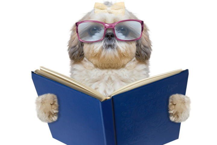 30代独身 保険を見直したほうがいい Daily Ands 人生は投資の連続 Bloom Your Life