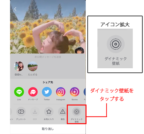 TikTokダイナミック壁紙(動く壁紙)の作り方!できない時の原因・対処法