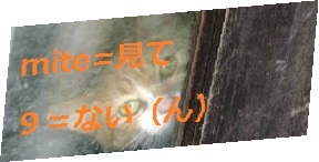 Medium