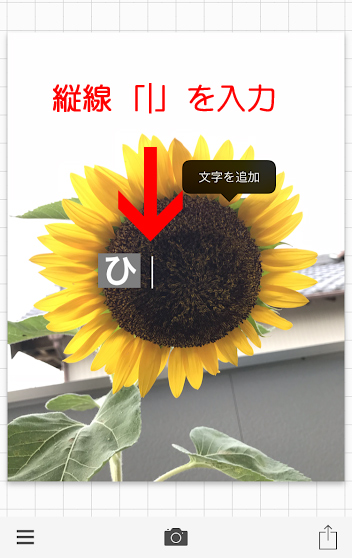 Phonto縦線