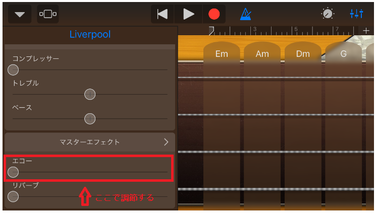 エコーの調節画面