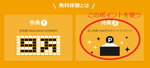 このポイントを使う