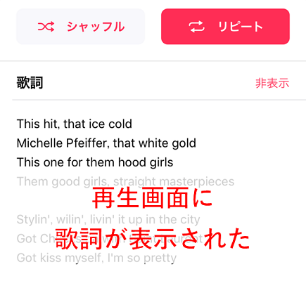 再生画面に歌詞が表示された様子