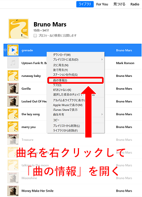 歌詞を入力したい曲を右クリックして、「曲の情報」を開く