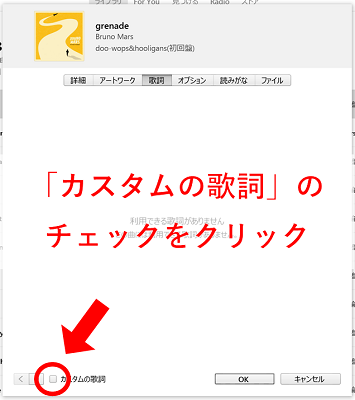 歌詞のタブ下部にある「カスタムの歌詞」にチェックを入れる