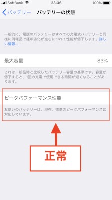 ピークバフォーマンス性能