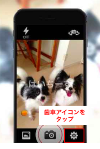 Medium