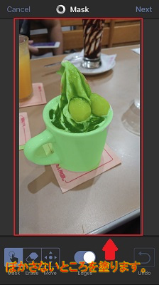 写真のぼかしたくない所を塗ります。