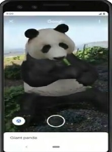 Medium
