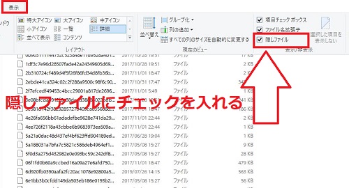 「隠しファイル」にチェックを入れる