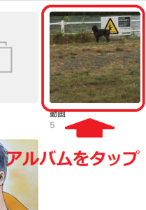Medium