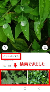 Medium