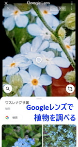 Medium