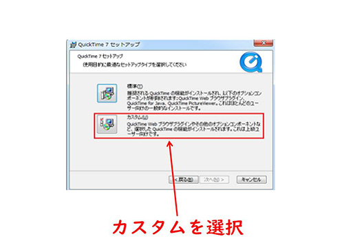 カスタムインストール