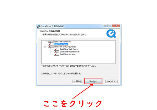 Quicktimeインストール継続