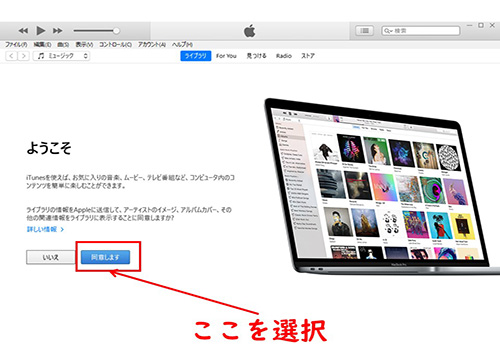 初期設定-規約