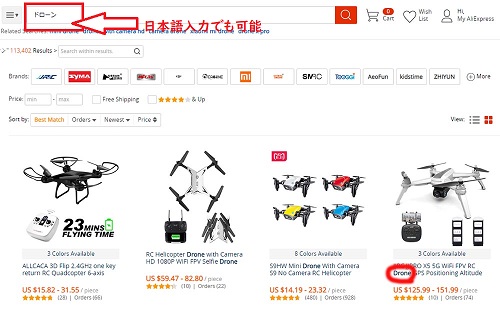 日本語入力でも可能