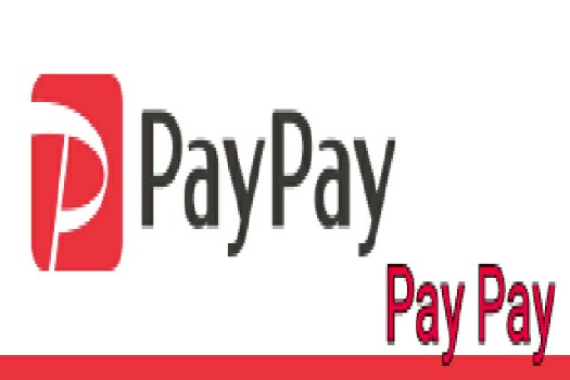  Pay Payアプリ