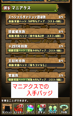 マニアクスからの入手画面