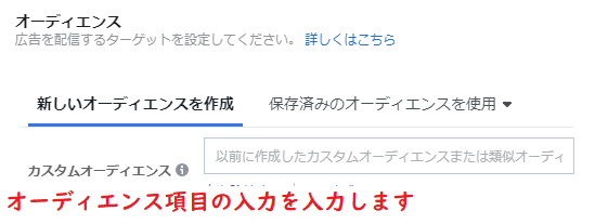 オーディエンス項目の入力