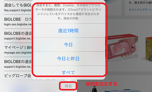 削除する閲覧履歴の期間を設定する