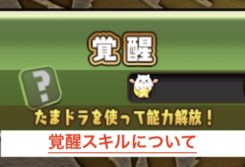 覚醒スキルについて