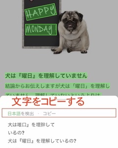 Medium