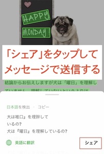 Medium
