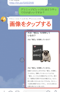 Medium