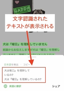 Medium