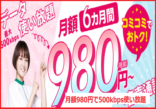 月額980円で500kbps使い放題