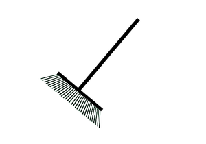 Medium