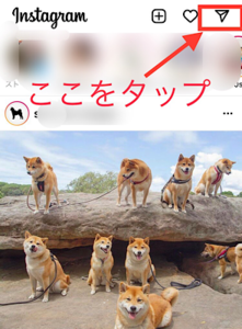 Medium