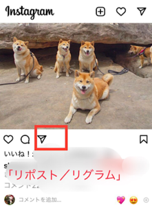 Medium