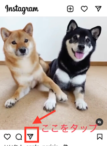 Medium